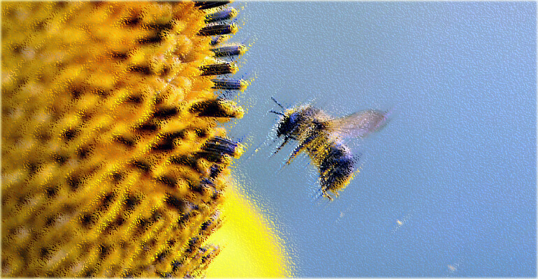 Ποιοι ειμαστε